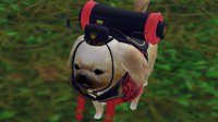 《剑网3》宠物奇遇锻剑女小狗运运全流程图文攻略