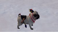 《剑网3》宠物奇遇白雪忆小狗丰丰全流程图文攻略
