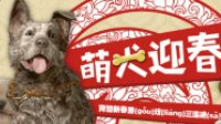 育碧开启春节返场福利！三款游戏再次免费送