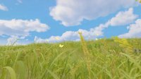 《剑网3》重制版阴山大草原截图地点分享及风景安利