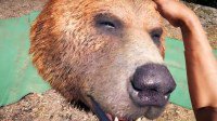 《孤岛惊魂5》熊队友预告：憨态可掬的贪吃大熊