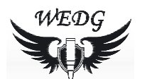 《终结者2》TSL总决赛 WEDG战队专访