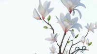 《剑网3》花朝节活动任务流程详解 全成就获取攻略