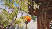 《剑网3》大师赛12进6回顾 虽然弱但有猫VS淡酒三杯