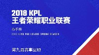 《王者荣耀》KPL春季赛第九周数据回顾