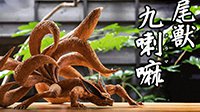 《火影》九尾巨型雕像公开：手办美丽 价格感人