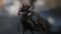 《蚁人2》新预告公布 蚁人骑黄蜂大战反派幽灵