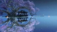 职业选择参考指南 各职业不同玩法体验感受分享
