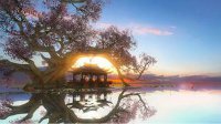 《逆水寒》去镜湖还要买门票？官方：侠义点可换