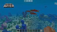 海洋更新 与《我的世界》海洋生物共同嬉戏