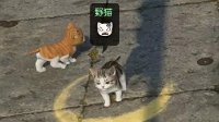 《逆水寒》宠物系统解析及猫宠获得方法