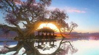 《逆水寒》商会快速赚钱视频指南