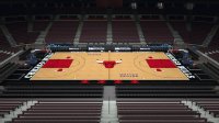 《NBA2KOL2》球场大图 热血与汗水的赛场舞台