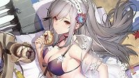 《碧蓝航线》敦刻尔克甜蜜夏日泳装介绍