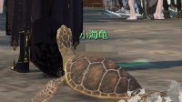 小海龟获取指南！教你随时随地召唤小海龟