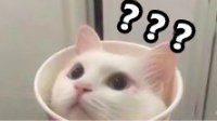 【每周囧图】我素小问？打的快 队友的锅就追不上我