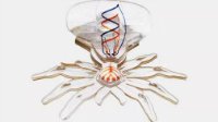 哈佛推出的这个“蜘蛛” 能爬进人体内做手术