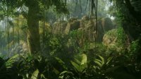 《杀手2》哥伦比亚关卡展示 光头47深入雨林暗杀