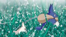 宫崎骏动画《龙猫》“寒露”海报曝光 去见龙猫吧