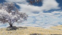 【剪辑】陌上花开你可还在 视频放狗粮了可还行