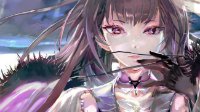 《FGO》尼禄祭无限池效率规划小工具