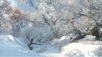 一分钟弄懂“吸海垂虹” 打造神兵从此不是梦
