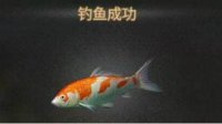 《明日之后》钓鱼操作技巧