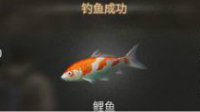 《明日之后》钓鱼冠军获取方法