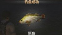 《明日之后》鱼类大全
