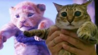 《狮子王》真人预告被网友恶搞成沙雕图 小辛巴变成小猫咪