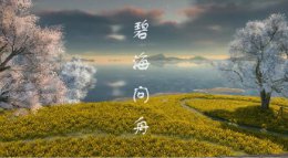 碧海问舟《逆水寒》云樱岛风景最高画质展示视频