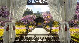 樱落南山 梦里花榭《逆水寒》粉金色系庄园展示