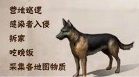 《明日之后》活动时间表