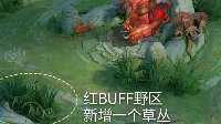 《王者荣耀》刷野技巧