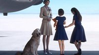 《皇牌空战7：未知空域》的“照片狗”原型去世 玩家祝它安息