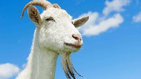 《守望先锋》Goats 303阵容解读