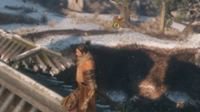 玩家分享《只狼》刷钱、经验路线 一次100金币300XP