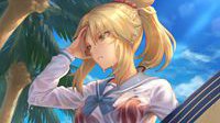 FGO英灵壁纸特辑：来看点见不得人的福利图