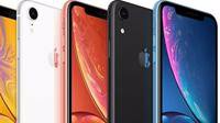苹果2020年三款新iPhone曝光：都是OLED屏 尺寸大变