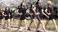 满眼都是美腿 韩国模特樱花树下台步训练令人疯狂