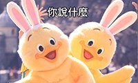 东京迪士尼新角色登场：兔耳小黄鸡