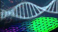 科学家借DNA打造“活体机器” 能吃能生长还能移动