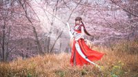 《王者荣耀》花见巫女COS 樱花下的白丝少女
