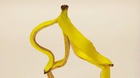 感到“蕉绿”了吗？日本艺术家创作香蕉雕塑作品