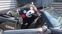 熊本熊申请东京奥运火炬手遭拒：“年龄小 不是人”