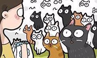国外插画师绘制“猫的日常” 都是猫奴的快乐所在
