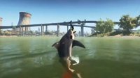 《食人鲨》实机演示：凶残鲨鱼捕食人类 还能跳上岸