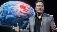 科幻成真？马斯克旗下脑机结合公司宣布：2020上半年进行人体测试