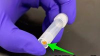 世界上容量最大的“硬盘” 其实是你的遗传物质