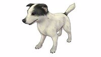 《旅行物语》小型四足兽介绍之小狗